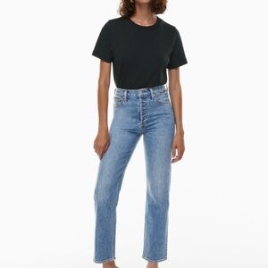 Denim Forum Aritzia Arlo High Rise straight